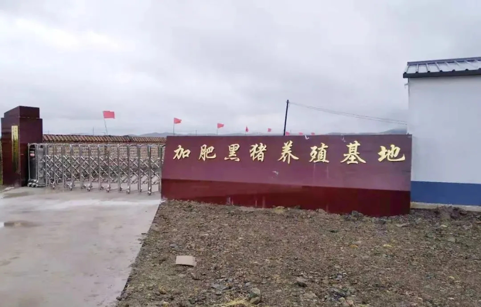 &#24320;&#20113;&#32593;&#39029;&#29256;